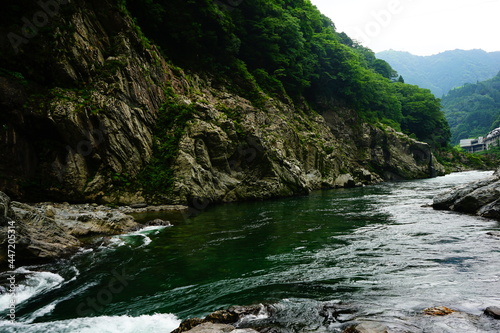 Yoshino River Flow and Oboke and Koboke Gorges in Tokushima  Japan -                                                      
