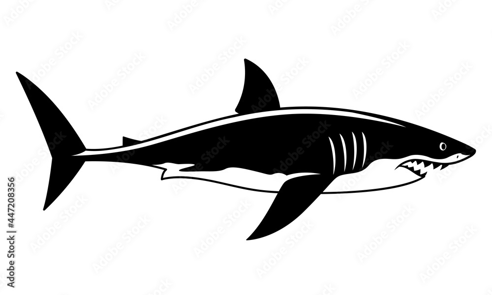 Obraz premium Great white shark swimming drawing, black vector shark hunting prey.