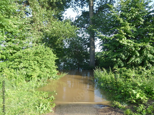 Hochwasser am Rhein Juni 2021
