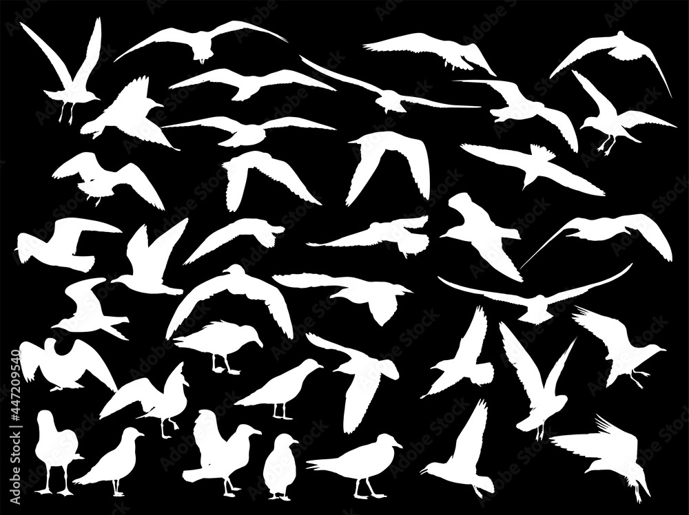 set of thirty nine gull white silhouettes