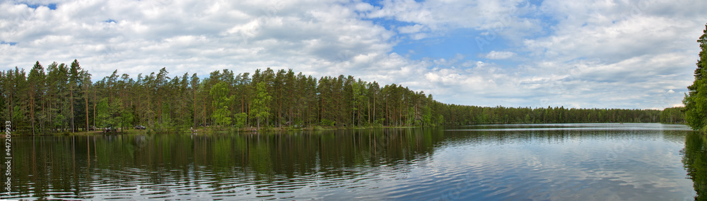 Landscape with cloud sky above forest lake