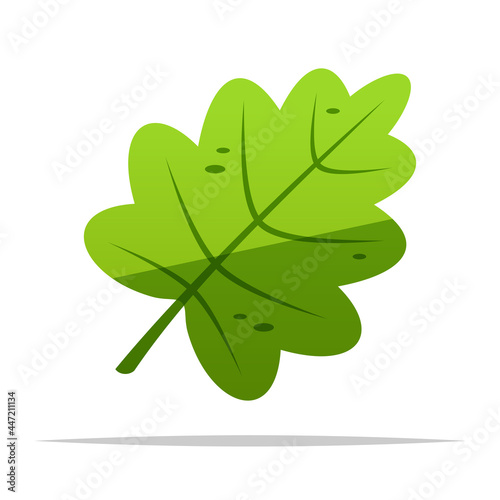 Bilde på lerret Cartoon catnip leaf  vector isolated illustration