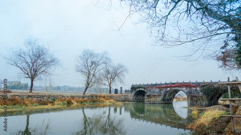Obraz premium bridge in the park
