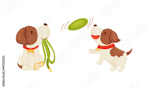 Jack Russell Terrier Playing Frisbee Wriggling Tail and Holding Leash Vector Set