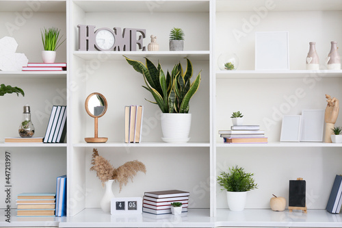 Shelf unit with books, houseplants and decor, closeup