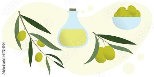 A set of olives. Vector set of olives. Illustration of a branch of olives. Glass bottle with olive oil. Plate with olives. Flat style.
