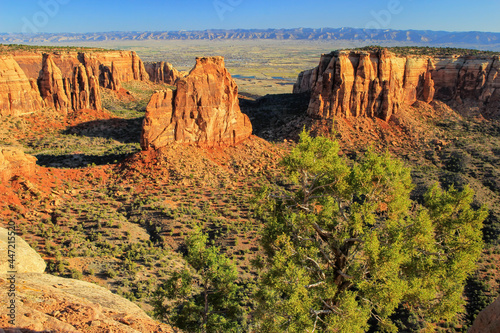 Colorado National Monument, Grand Junction, USA