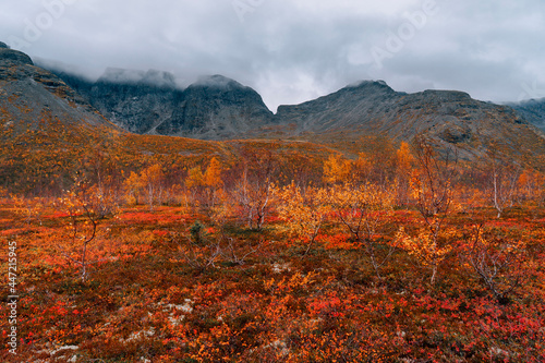Autumn colorful tundra on the background of cloudy misty mountains in rainy weather. Mountain landscape in Kola Peninsula, Arctic, Khibiny Mountains. 