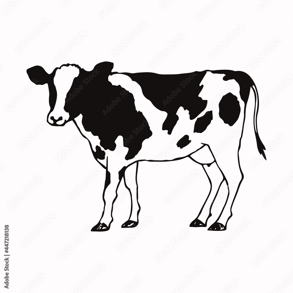 牛のシンプルな手描きのイラスト Stock Vector Adobe Stock