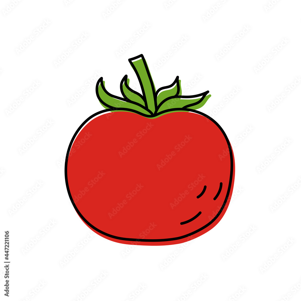 Tomato. Vegetable sketch. Color simple icon. Hand drawn vector doodle illustration Tomato. Vegetable sketch. Color simple icon. Hand drawn vector doodle illustration
