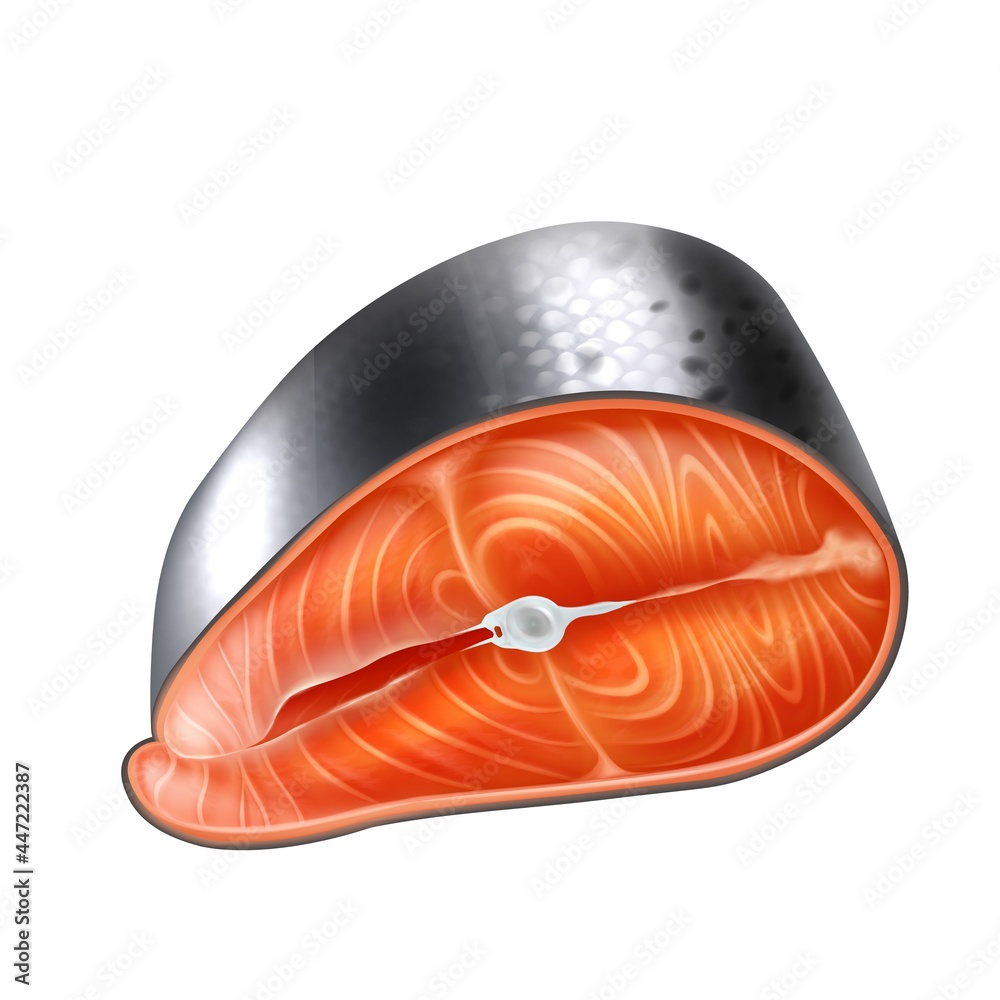 Realistic detailed 3d raw salmon slice vector realistic isolated illustration. Fresh fish seafood fillet, trout fresh steak or red fish. Realistic detailed 3d raw salmon slice vector realistic isolated illustration. Fresh fish seafood fillet, trout fresh steak or red fish.