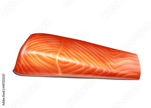 Salmon fish fillet slice realistic vector illustration isolated. Raw red fish peeled fillet, trout fresh steak.