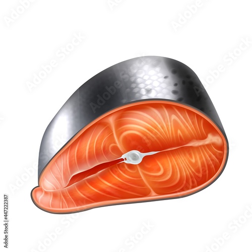 Realistic detailed 3d raw salmon slice vector realistic isolated illustration. Fresh fish seafood fillet, trout fresh steak or red fish.