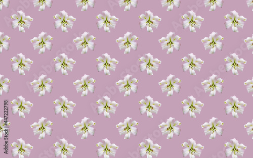 Beautiful flowers lilies. Seamless pattern of Lily flower bloom. Floral natural background.
