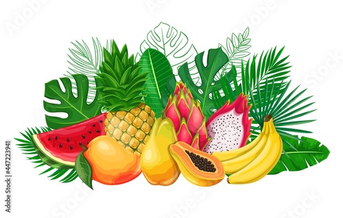 Fototapeta Naklejka Na Ścianę i Meble -  Tropical leaves with exotic fruit banner. Jungle exotic leaf poster with outline areca palm, monstera leaves, pitaya, papaya, pineapple, banana, mango and watermelon.