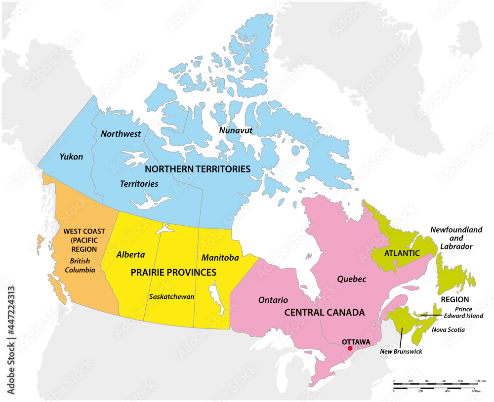 vector map of the five geographic regions of Canada Stock Vector