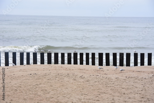 fence on the beach