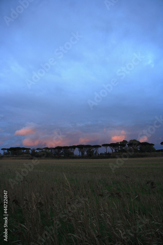 Countryside landscape. Cloudy sky at sunset, central red clouds