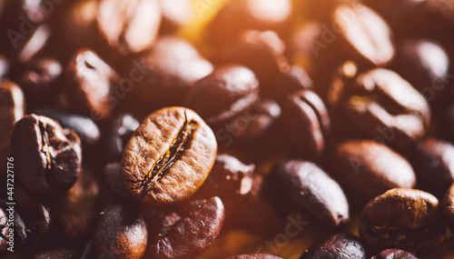 Organic coffee beans on wood © Photocreo Bednarek