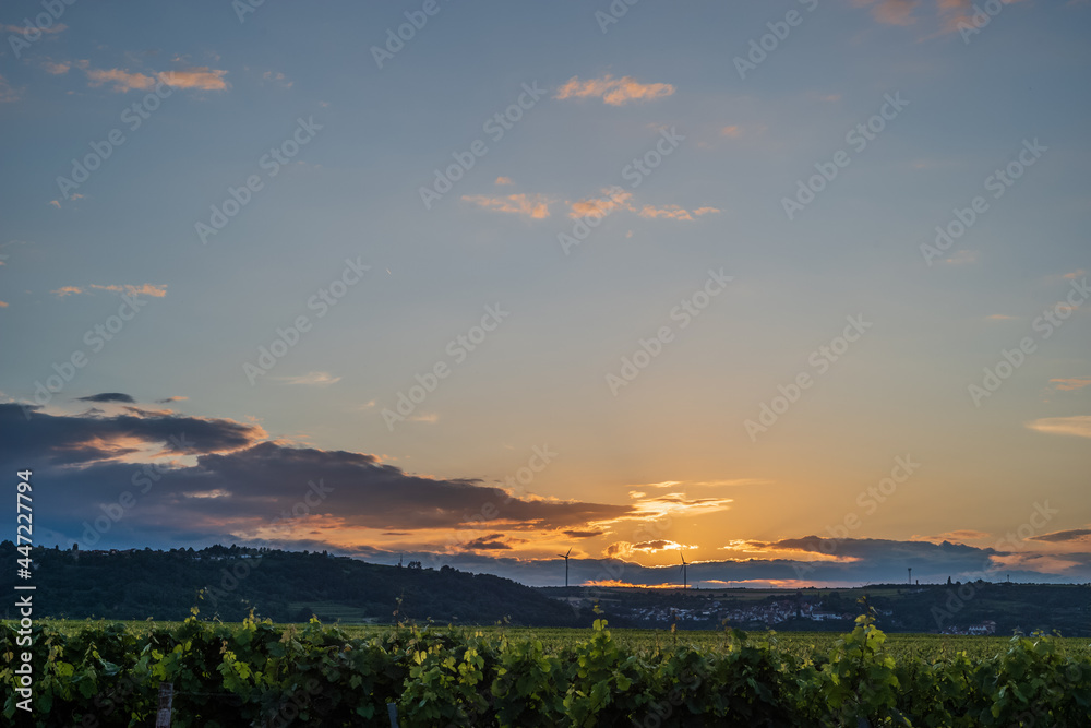 sunset over the vinyard