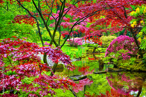 Travel Through the Netherlands. Amazing Japanese Garden with Asian Zen Sculptures and Red Maple Trees in Park Clingendael in the Hague  Den Haag  in the Netherlands Straight After the Rain.