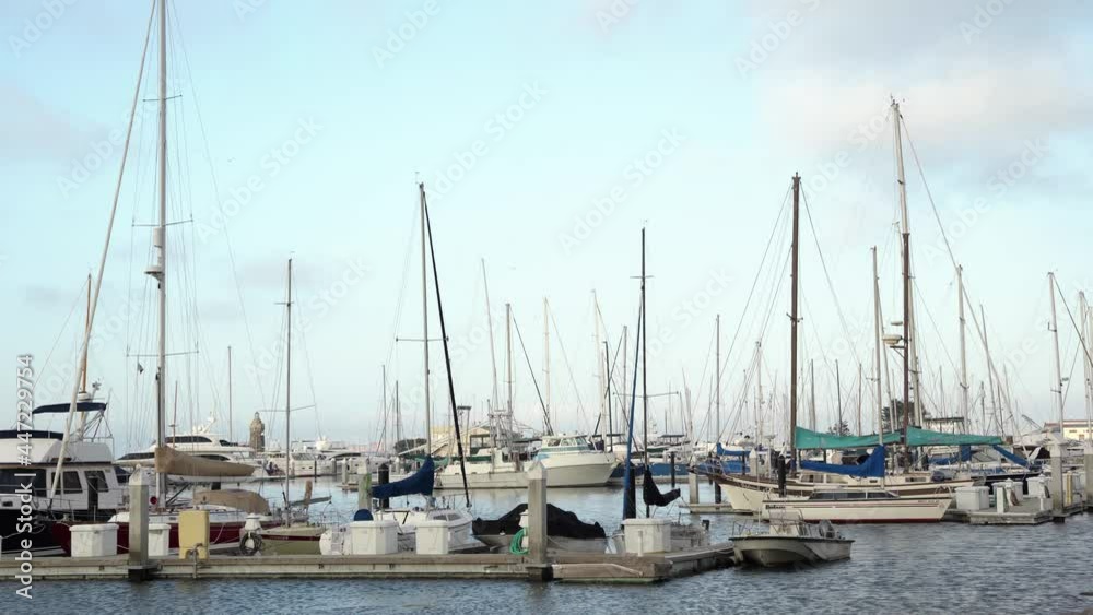 Parking lot of ships in the bay area Parking lot of ships in the bay area