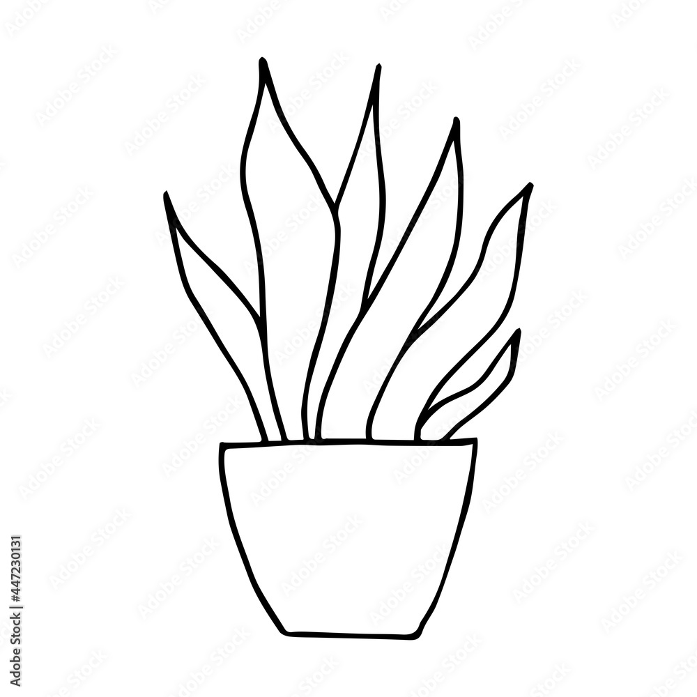 home plants, doodle, artb set dd ww home plants, doodle, artb set dd ww