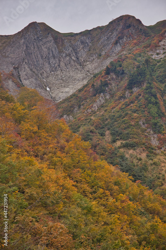mt.Amakazari, in late autumn, three-tiered autumn leaves 晩秋の雨飾山の三段紅葉 