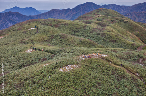 mt.Amakazari, in late autumn, three-tiered autumn leaves  晩秋の雨飾山の三段紅葉  photo