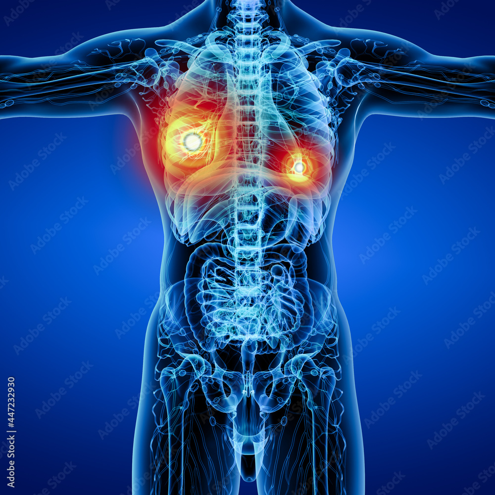 3d rendering blue lymphatic system - front view 3d rendering blue lymphatic system - front view