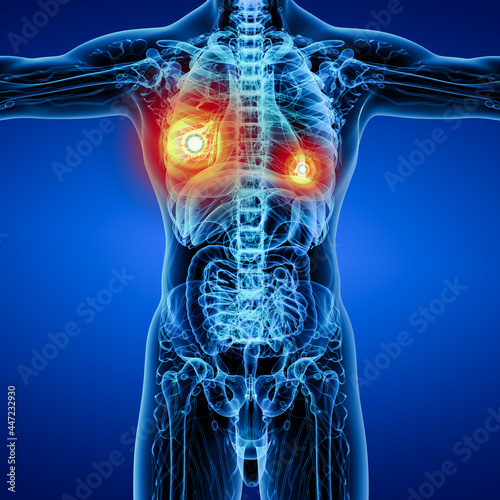 3d rendering blue lymphatic system - front view