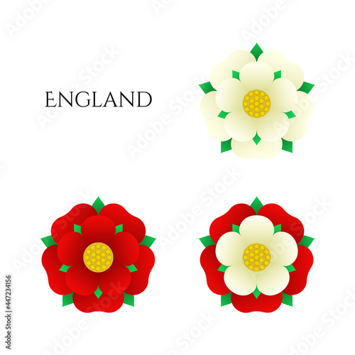 Tudoe rose of Englnd vector illustration.