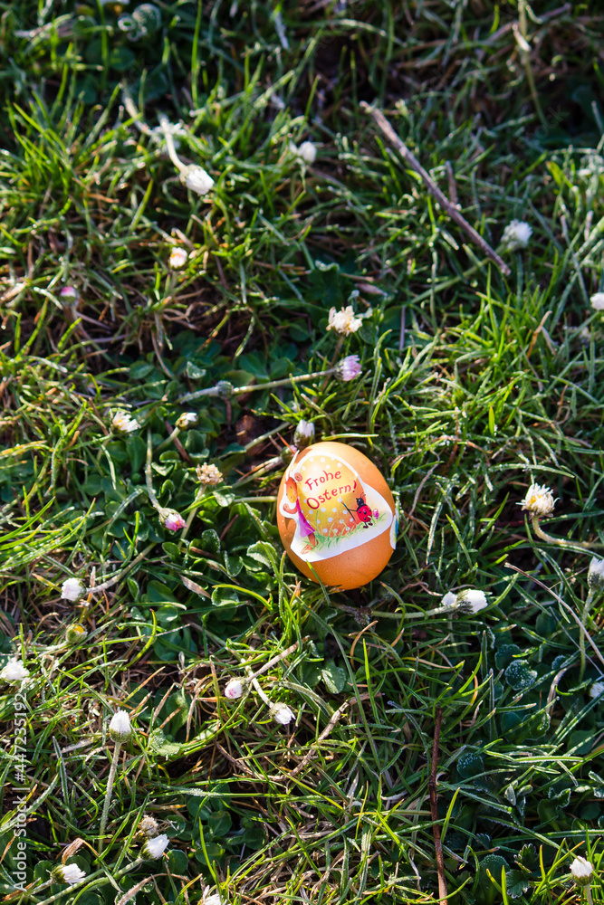 Ostern Osterei Garten Natur Blumen Wiese Ostern Osterei Garten Natur Blumen Wiese