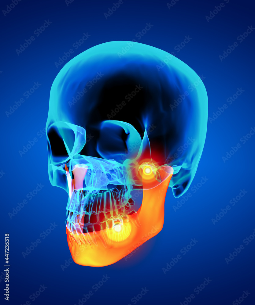 3d rendering illustration of jaw bone - side view 3d rendering illustration of jaw bone - side view