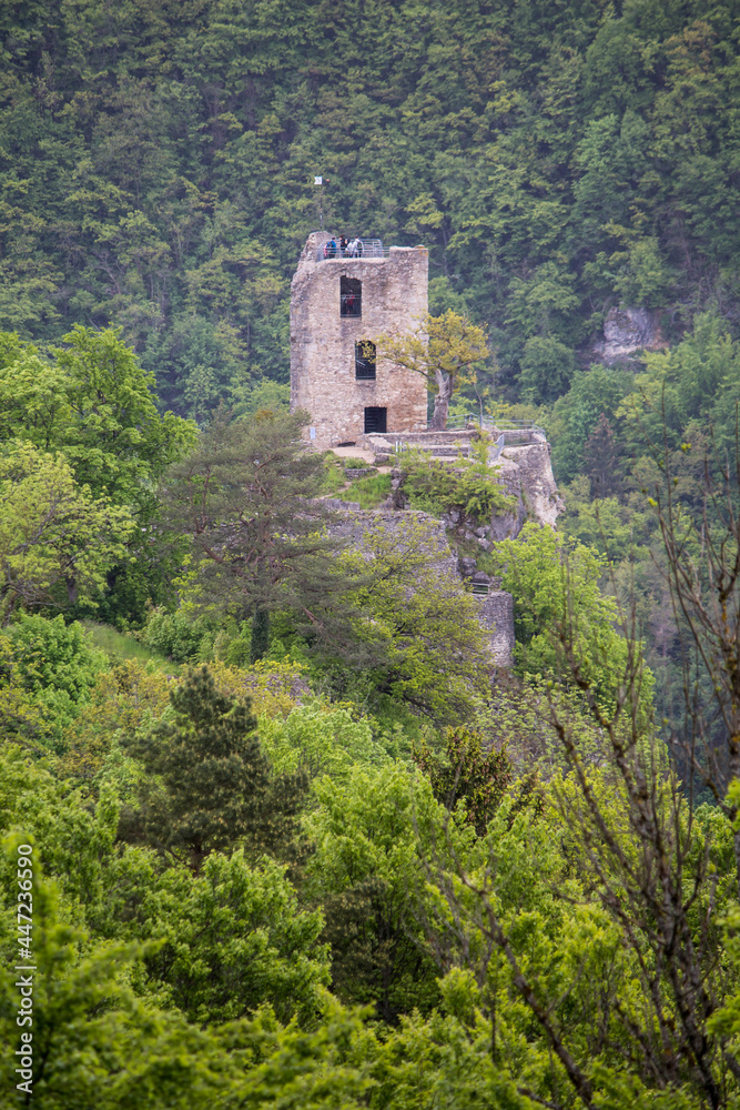 Fränkische Schweiz Burg Neidek Burgruine Ruine Burg Berge Steine Wald Mittelalter
