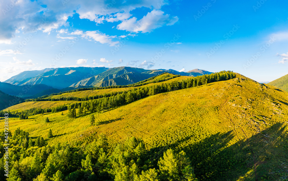 Aerial View of mountain and green forest with grass in Kanas Scenic Area,Xinjiang,China.