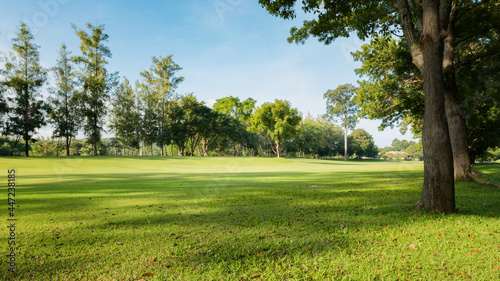 Fototapeta Naklejka Na Ścianę i Meble -  Green sward filed and garden, Scenery green grass at the natural park