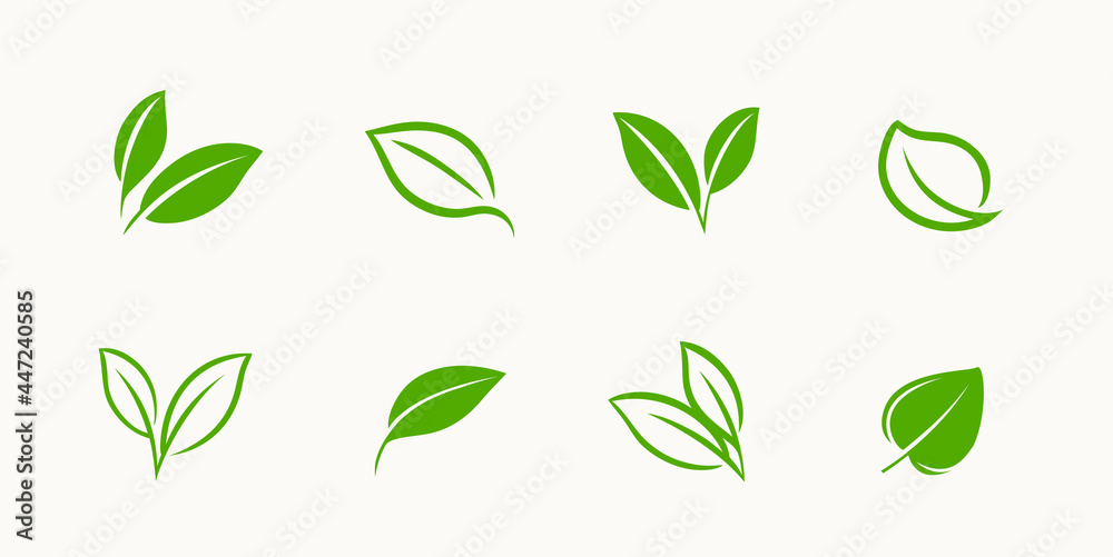 Green leaf icons set. Ecology, organic symbol vector Green leaf icons set. Ecology, organic symbol vector
