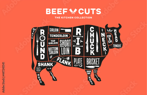 Cow, beef. Scheme, diagram, chart beef, butcher guide. Poster for kicthen or bar wall design. Vintage retro print, art typography with cow drawing, old school style. Vector Illustration