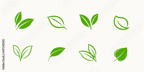 Green leaf icons set. Ecology  organic symbol vector