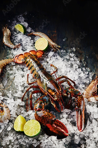 Fresh raw lobster on ice on dark textured background. Space for text. Top view. High quality photo