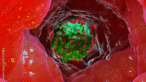3d illustration of Mastocyte, Mast cell, 3d render photo