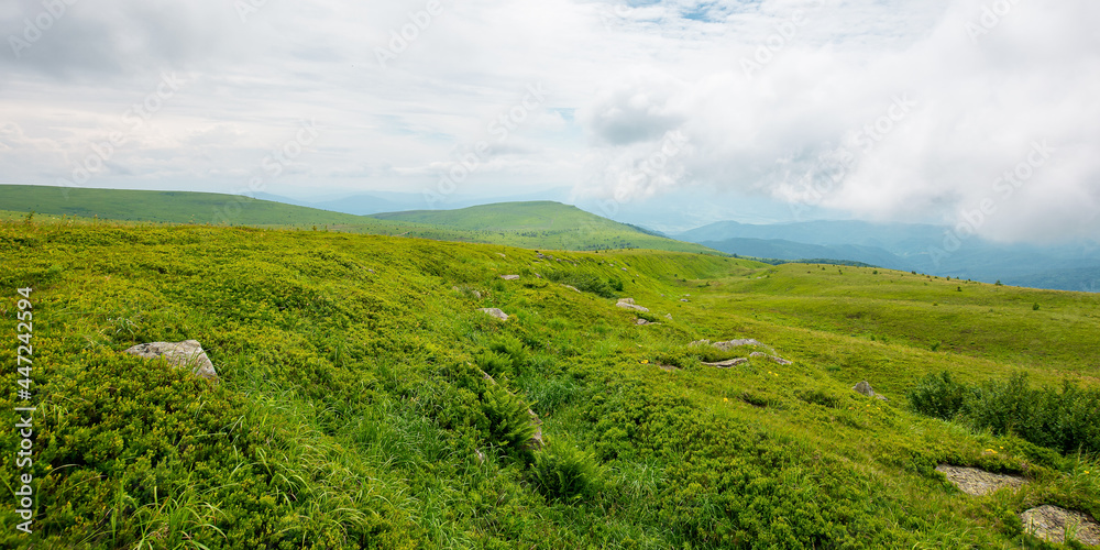 summer mountain landscape. beautiful nature scenery. stones on the grassy hills rolling in to the distant ridge beneath a cloudy sky. travel back country concept