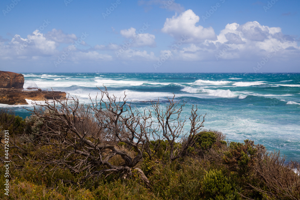 Postcard view from the bushy shore on the beautiful ocean with large waves on a sunny day. Port Campbell. Victoria. Australia. Postcard view from the bushy shore on the beautiful ocean with large waves on a sunny day. Port Campbell. Victoria. Australia.