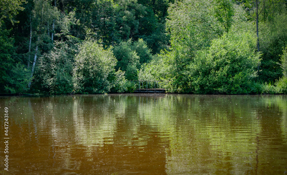 Fototapeta premium SPENGE, GERMANY. JUNE 20, 2021. Hoocker Moor Ranch.