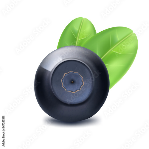 Bilberry (huckleberry, whortleberry or blueberry), with leaf, wild forest berries, ripe juicy fruit, healthy food. Vector icon.