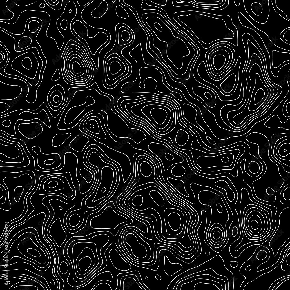 Black and white natural curves vector pattern. Cartographic geometric lines texture. Topographic curves.