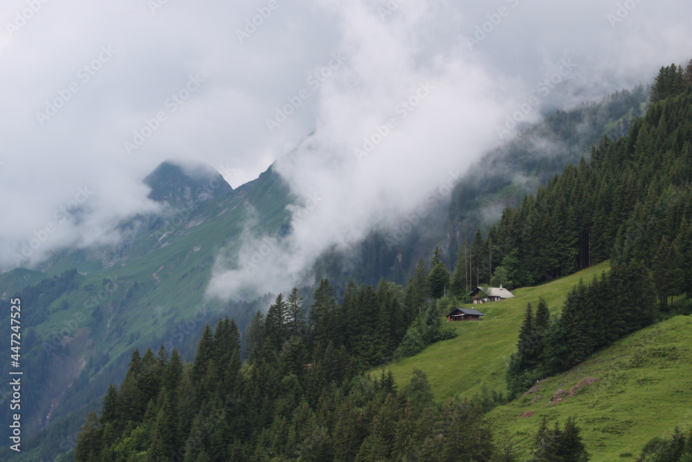 Farm house, pine forest and mountain ridge seen from Planalp, Brienz.