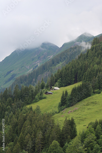 Green landscape in the Swiss Alps on a early summer day. Rural scene in Brienz.