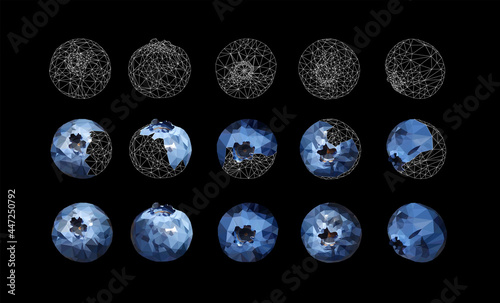 Set of Blueberries tasty and delicious isolated on black. Low poly triangular 3d blueberries in a geometric style. Detailed vector illustration stages of the creation process